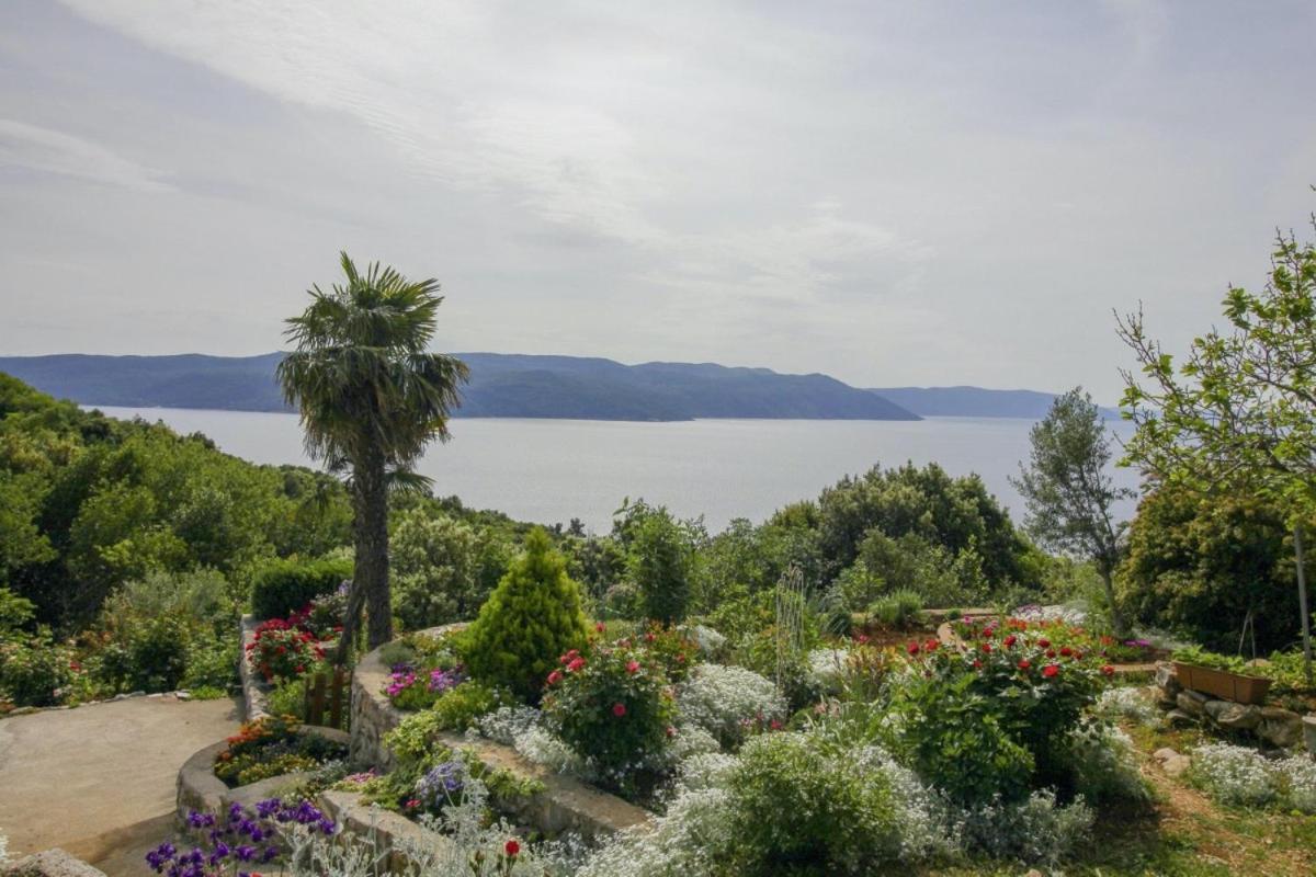 Villa Paradiso In Plomin - Istrien Eksteriør billede