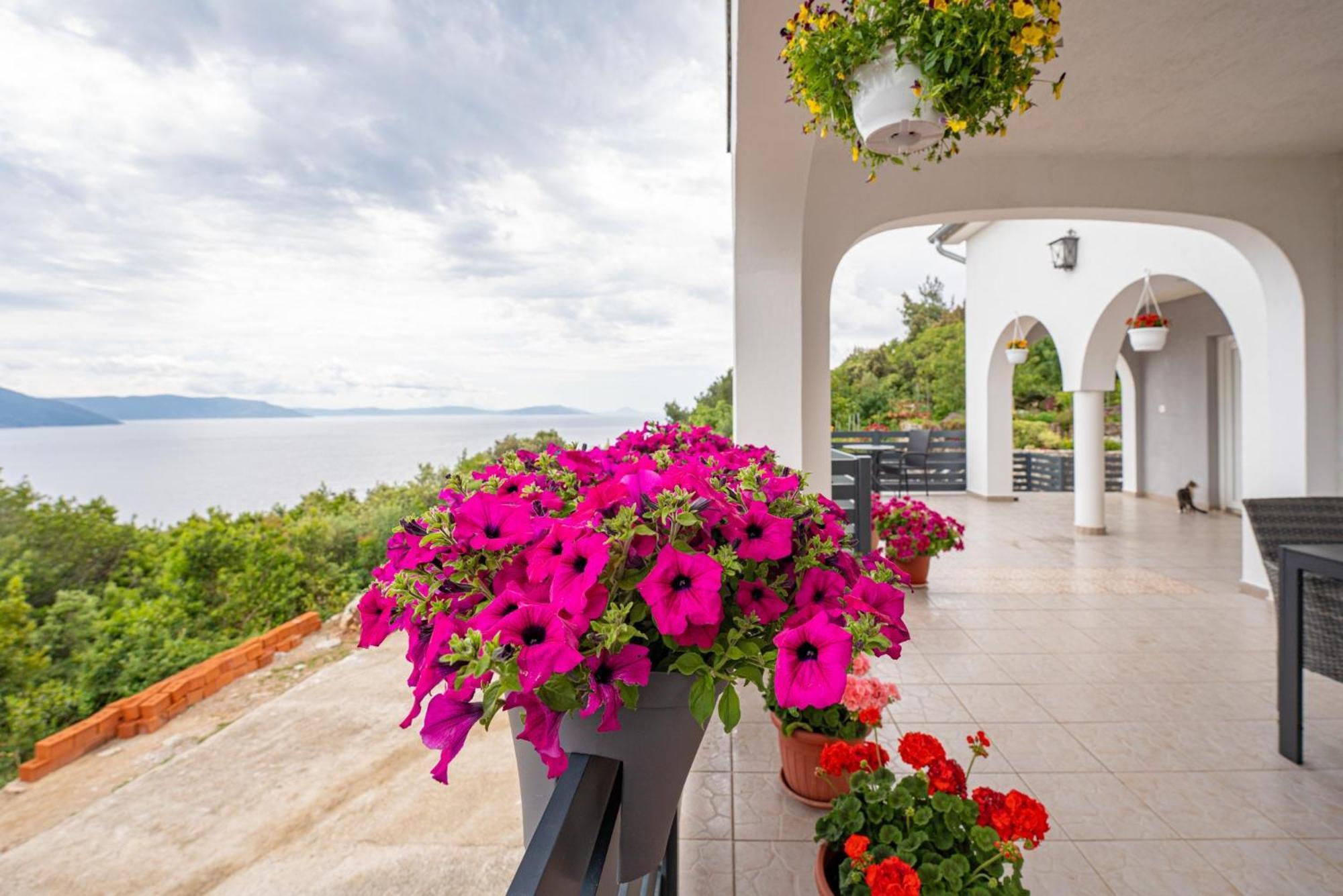 Villa Paradiso In Plomin - Istrien Eksteriør billede