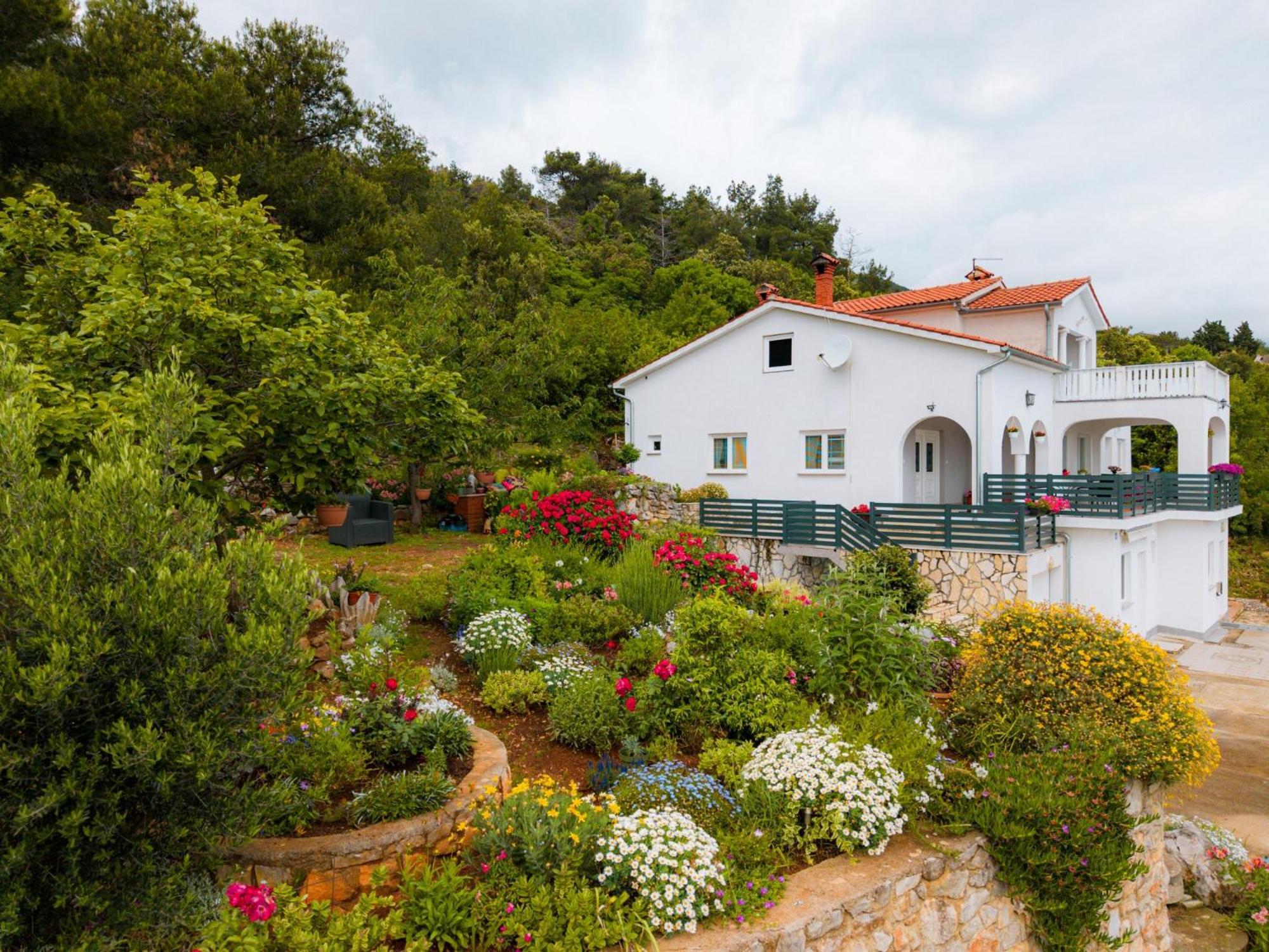 Villa Paradiso In Plomin - Istrien Eksteriør billede